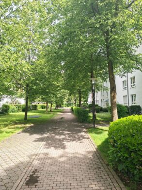 Blick ins Grüne in München-Trauchbergstraße, 81539 München, Etagenwohnung