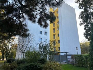 Gemütlich & grün: Wohnfreundliche 2-Zimmer-Wohnung mit Loggia – ruhig gelegen in Moosach, 80997 München, Etagenwohnung